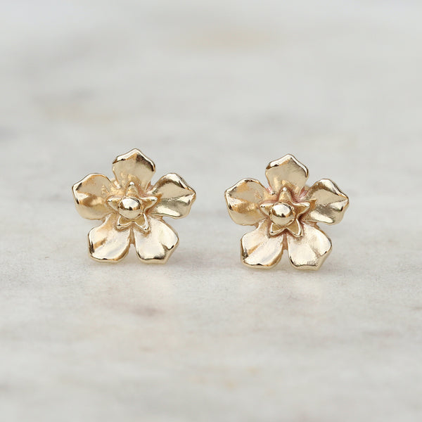 forget me not flower earrings gold