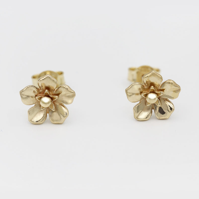 forget me not earrings in gold