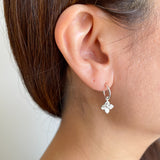 hydrangea silver hoops